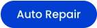 Auto Repair